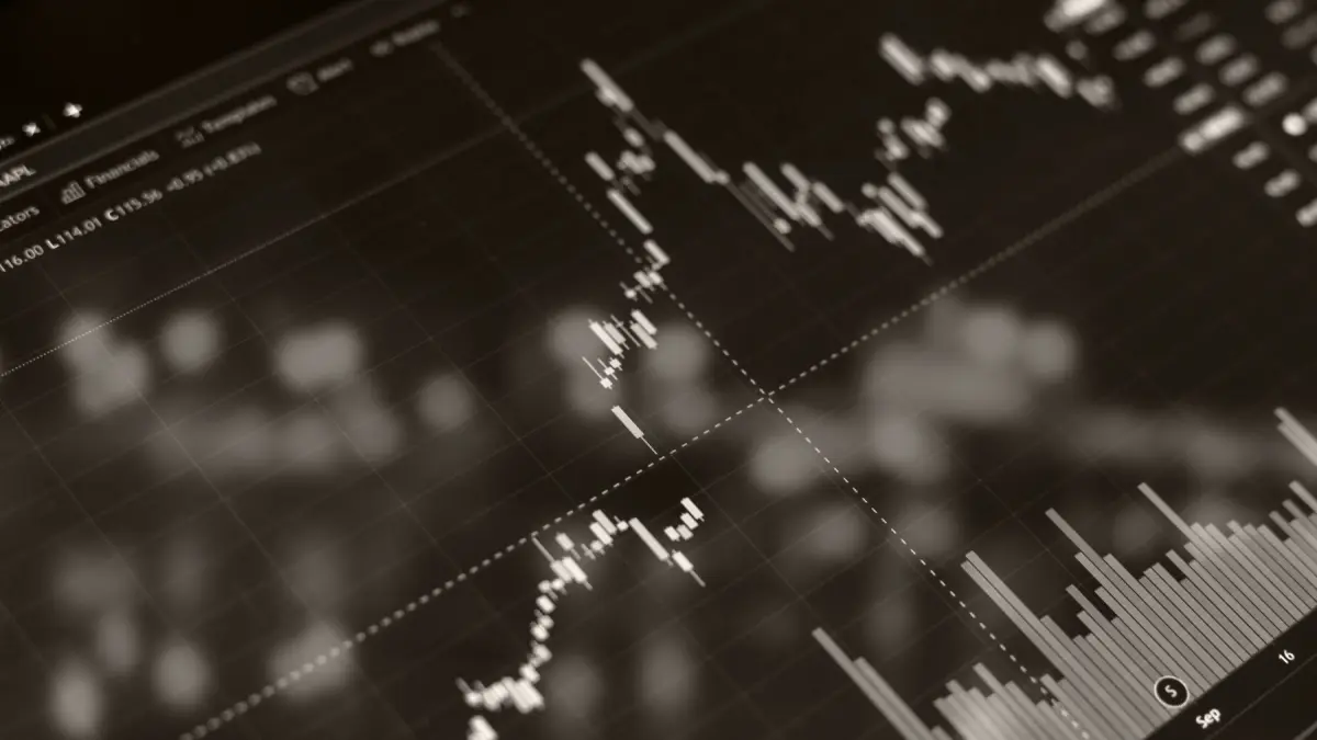 Market Update – August 2025